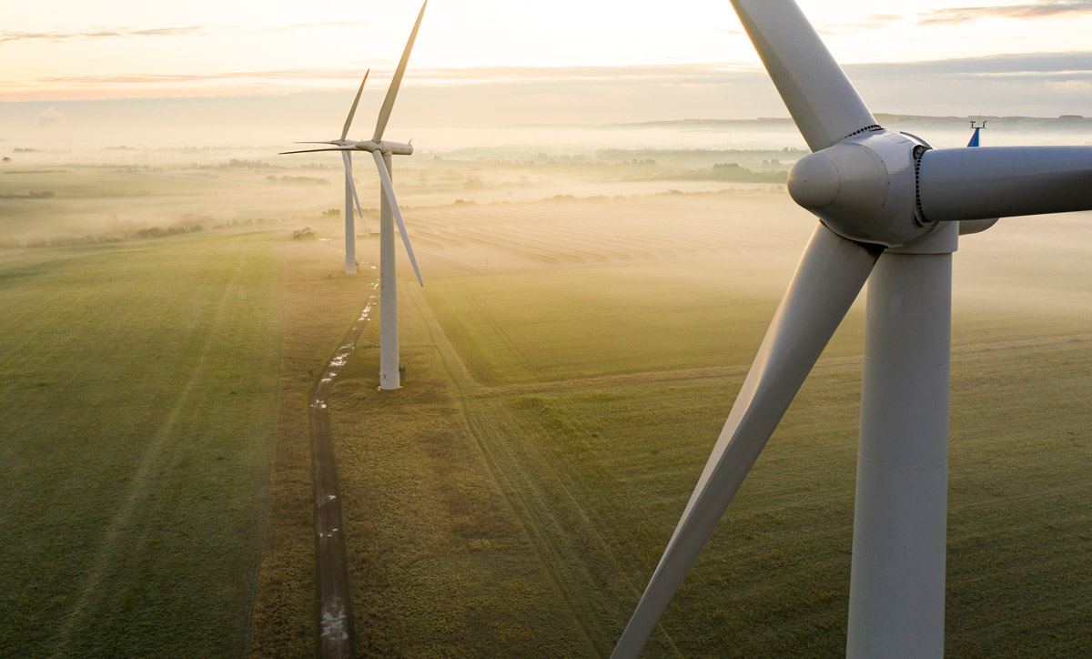 Wind turbines in a field generating electricity
